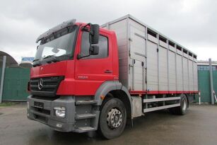 Mercedes-Benz 1829 BL - TÖNNING Nr.: 412 hayvan taşıma aracı