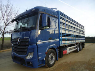 Mercedes-Benz ACTROS 2545 hayvan taşıma aracı